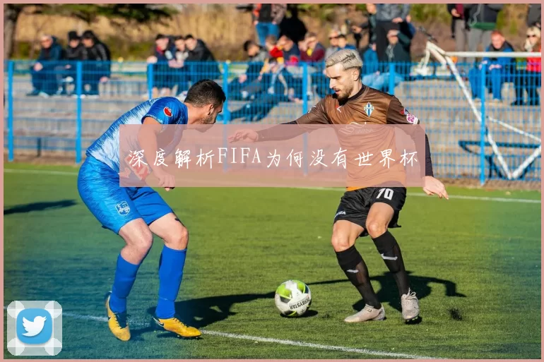 深度解析FIFA为何没有世界杯