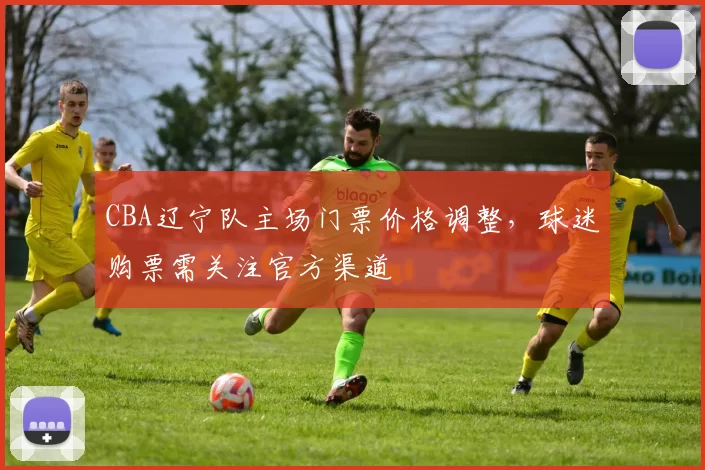 CBA辽宁队主场门票价格调整,球迷购票需关注官方渠道
