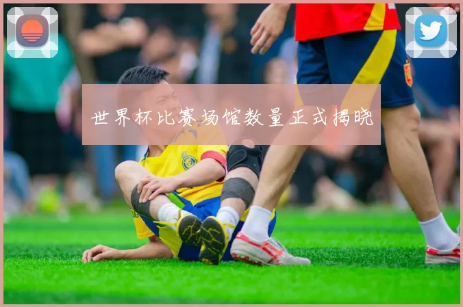 世界杯比赛场馆数量正式揭晓