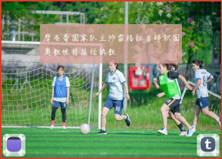 摩洛哥国家队主帅雷格拉吉辞职国奥教练将接任执教
