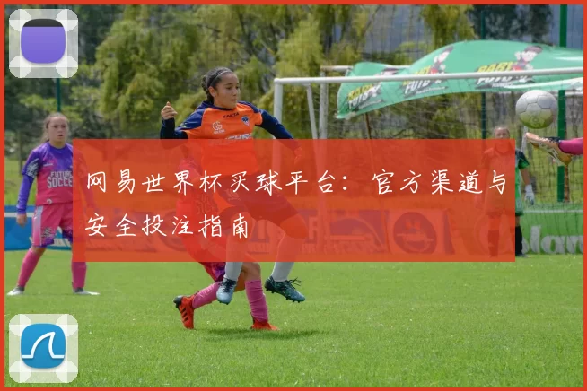 网易世界杯买球平台:官方渠道与安全投注指南