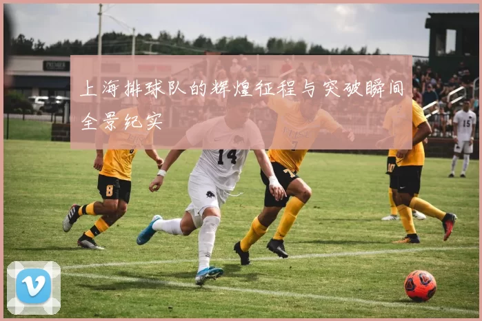 上海排球队的辉煌征程与突破瞬间全景纪实