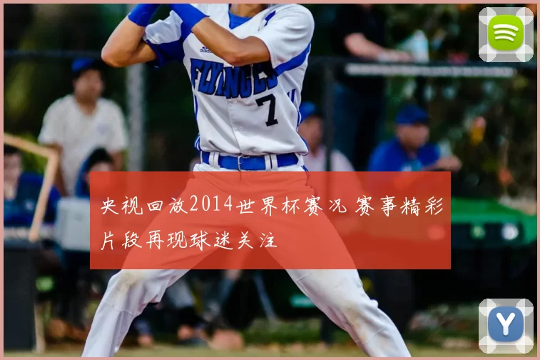 央视回放2014世界杯赛况 赛事精彩片段再现球迷关注