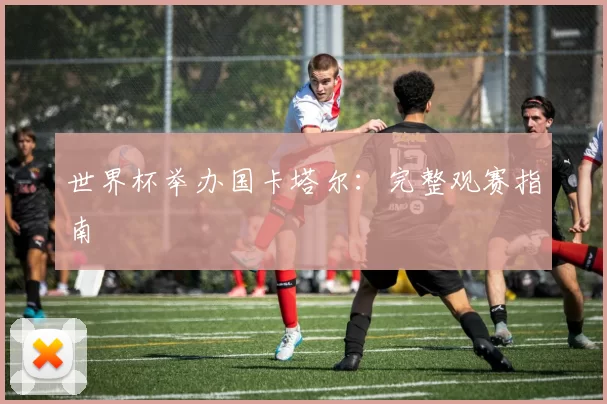 世界杯举办国卡塔尔:完整观赛指南