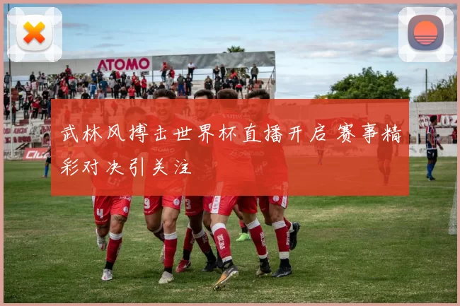 武林风搏击世界杯直播开启 赛事精彩对决引关注