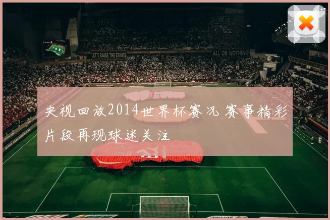 央视回放2014世界杯赛况 赛事精彩片段再现球迷关注