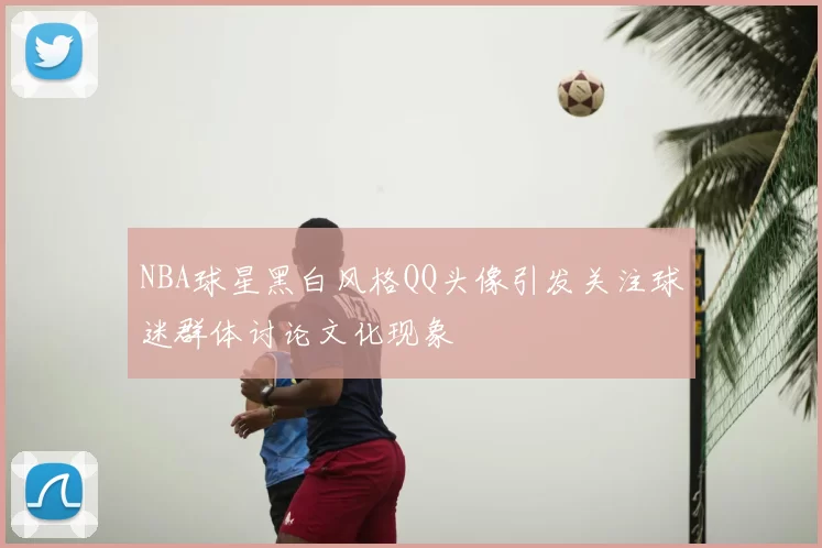 NBA球星黑白风格QQ头像引发关注球迷群体讨论文化现象