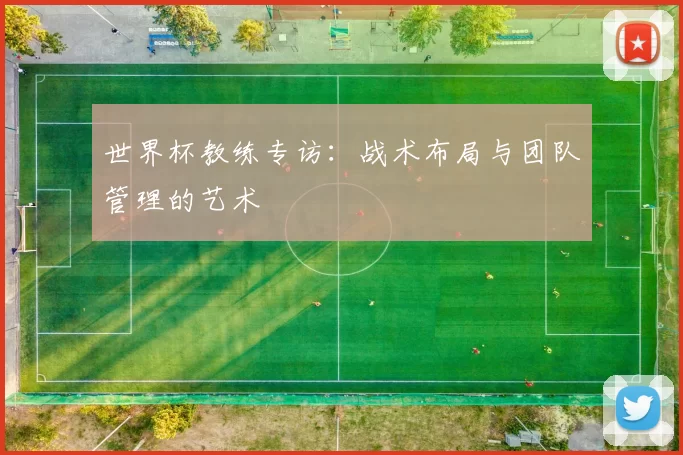 世界杯教练专访：战术布局与团队管理的艺术