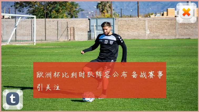 欧洲杯比利时队阵容公布 备战赛事引关注
