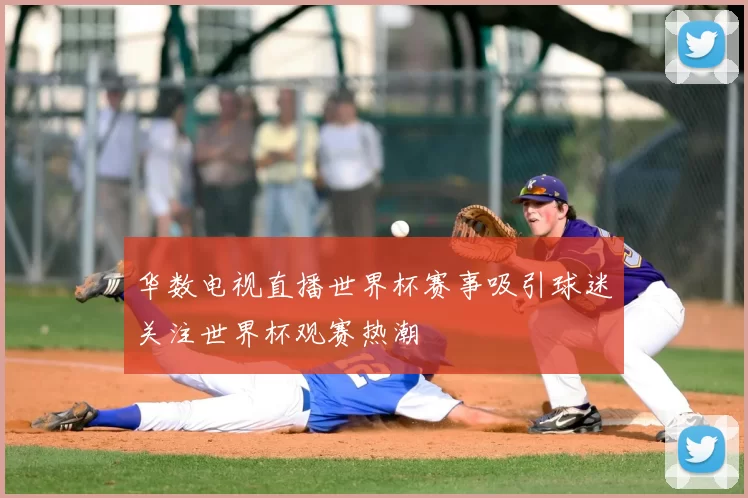 华数电视直播世界杯赛事吸引球迷关注世界杯观赛热潮