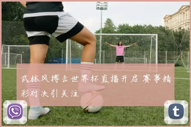 武林风搏击世界杯直播开启 赛事精彩对决引关注