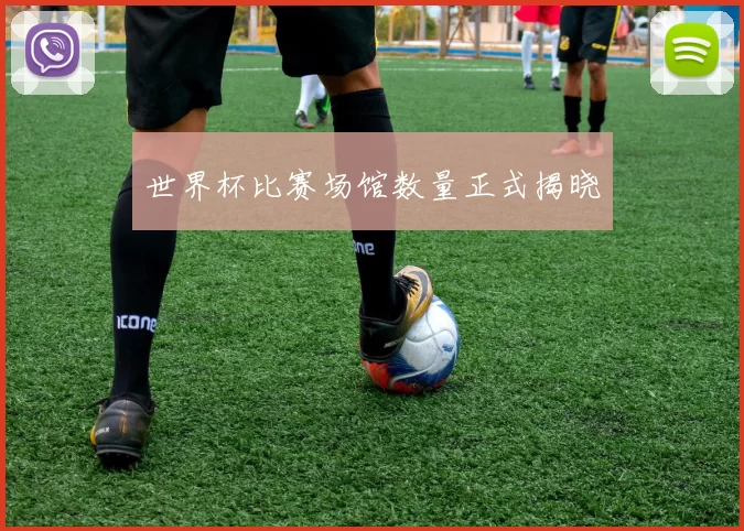 世界杯比赛场馆数量正式揭晓