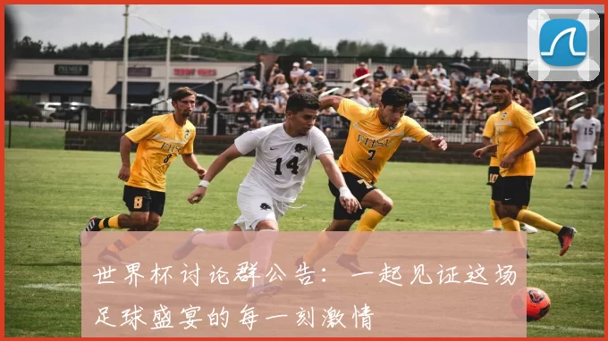 世界杯讨论群公告：一起见证这场足球盛宴的每一刻激情