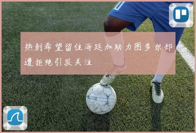 热刺希望留住海廷加助力图多尔却遭拒绝引发关注