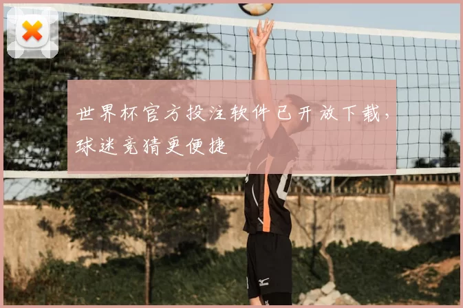 世界杯官方投注软件已开放下载,球迷竞猜更便捷