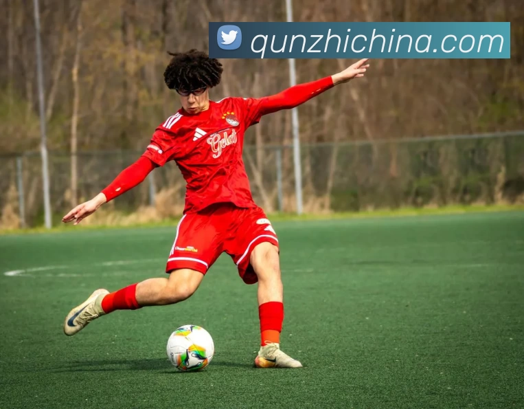 星空体育平台生态图